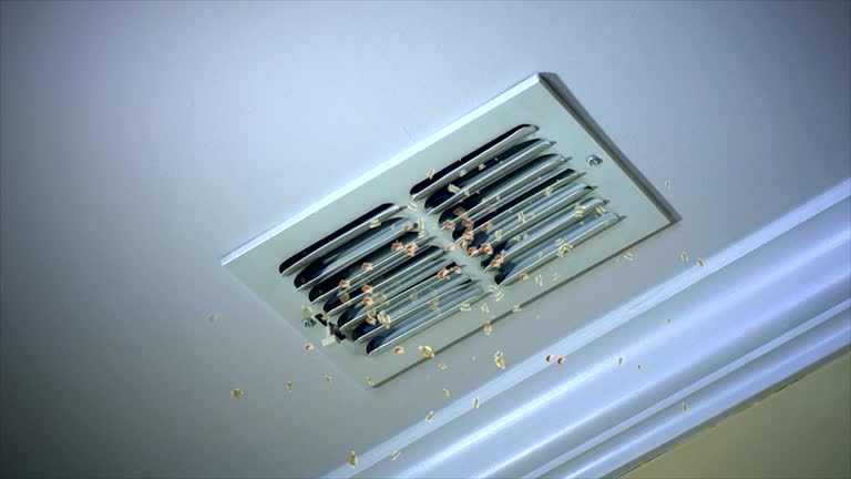 Best Professional Duct Cleaning Services  in Boonville, NC