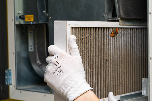 Best Local Air Duct Cleaning Services  in Boonville, NC